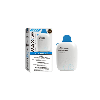 HYPPE MAX AIR 5000 HITS (10 PACK)