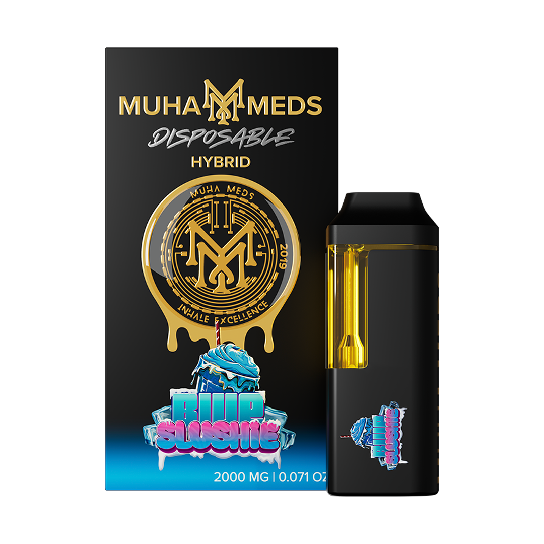 PACK 10 PIEZAS MUHA MEDS 2GR LED