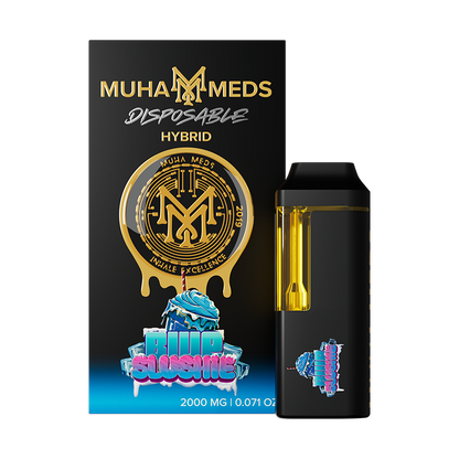 PACK 10 PIEZAS MUHA MEDS 2GR LED