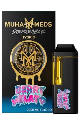 PACK 10 PIEZAS MUHA MEDS 2GR LED